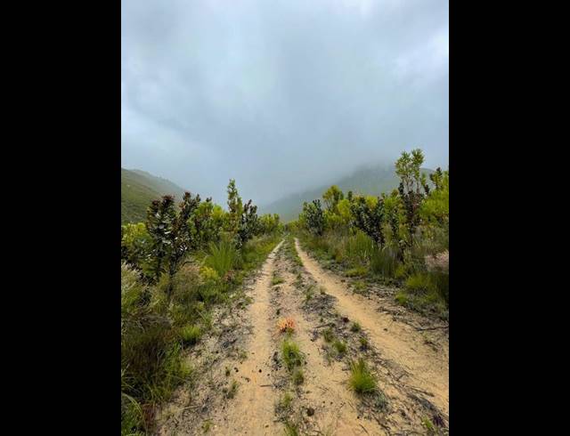 LAND FOR SALE IN TSITSIKAMMA